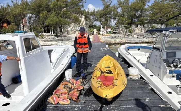 Elementos de la Secretaría de Marina, en coordinación con la Conapesca, realizaron la retención precautoria de una embarcación menor en la laguna Yum Balam, luego de detectar a una persona que transportaba ejemplares de caracol rosado y una estrella de mar sin contar con permisos de pesca.