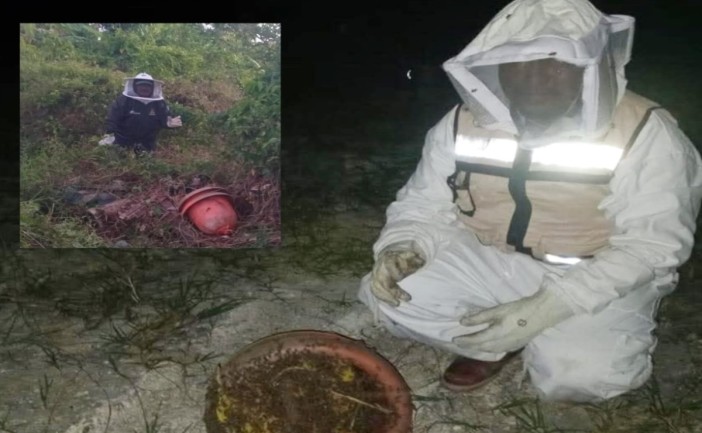 Ataque de abejas provoca muerte de animales domésticos en Ribera del Río Hondo de Chetumal