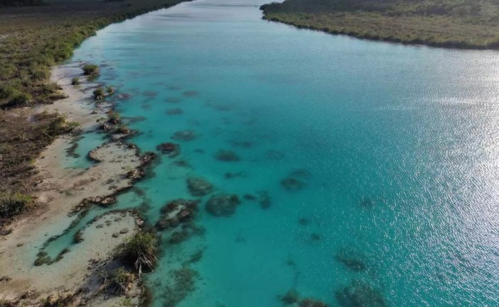 Investigadores advirtieron que la Laguna de Bacalar enfrenta una alta vulnerabilidad ambiental debido a la conexión directa entre sus aguas subterráneas y la actividad humana. Estudios científicos revelan que el ecosistema, donde habitan estromatolitos milenarios, puede alterarse rápidamente por contaminantes derivados del crecimiento urbano y turístico.