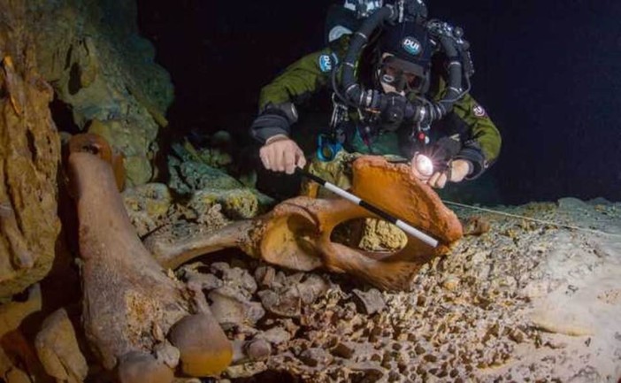 Denuncian daños arqueológicos en cenote de Tulum tras ingreso ilegal de buzos