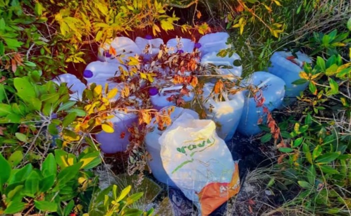 Autoridades de Belice aseguraron 15 contenedores con combustible de aviación en el distrito de Corozal, en una zona vinculada recientemente con el aterrizaje de una aeronave ilícita. El hallazgo refuerza la hipótesis de una red de abastecimiento para operaciones clandestinas.