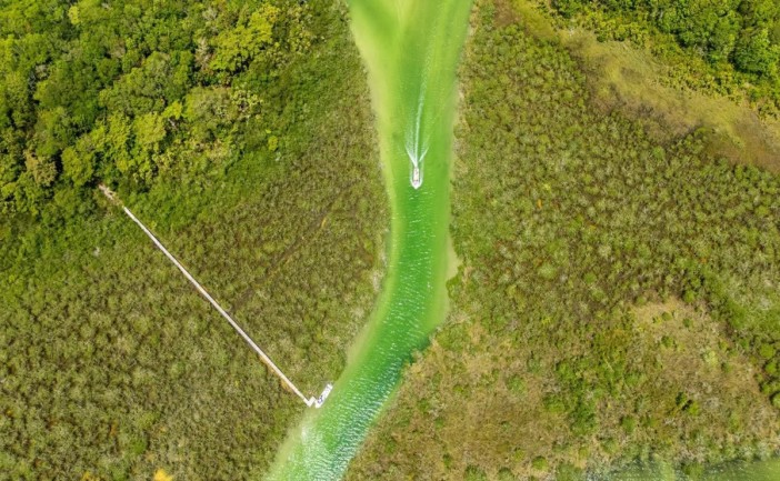 Creadores de contenido recorrieron diversos puntos turísticos del sur de Quintana Roo como parte del Fam Trip “Explorando OPB”, una estrategia del Ayuntamiento de Othón P. Blanco para posicionar la riqueza natural, cultural y gastronómica de la región a nivel digital.