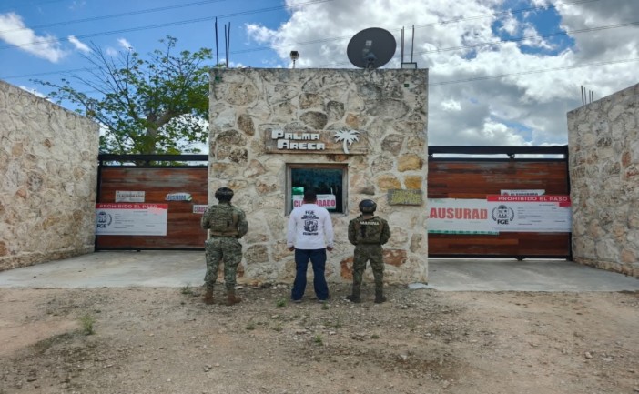 Detectan posible daño ecológico en la Ruta de los Cenotes; interviene la Fiscalía