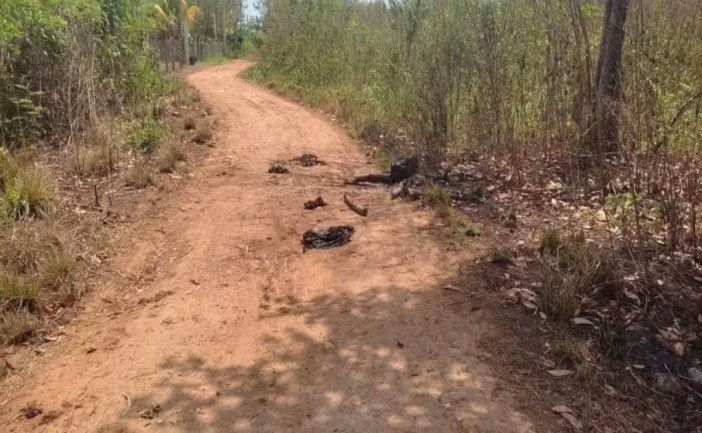 Autoridades de Ecología en el municipio de Lázaro Cárdenas ordenaron la prohibición y reubicación de criaderos de animales de corral dentro de la zona urbana de Kantunilkín, tras denuncias vecinales por malos olores y riesgos sanitarios. Los propietarios tendrán hasta este año para trasladarlos fuera de la ciudad antes de que se apliquen sanciones en 2027.