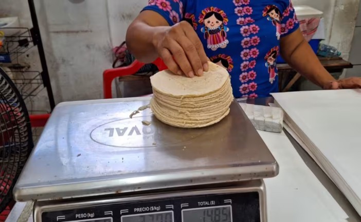 Subió el precio de la tortilla en Felipe Carrillo Puerto; pasó de 27 a 29 pesos el kilo