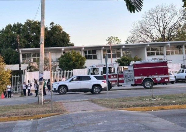 Suspenden clases en el Conalep de Chetumal por presencia de abejas