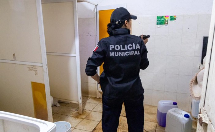 Así fue el rescate de animales exóticos tras cateo en Animalandia Maya de Playa del Carmen