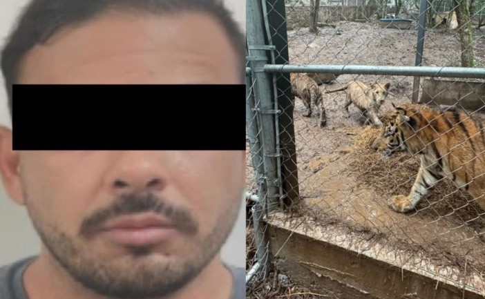 Detienen en Nuevo León a líder de célula criminal del “Cártel del Noroeste”
