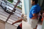 La agresión ocurrió sobre la calle Isla La Pasión, donde vecinos solicitaron apoyo de emergencia