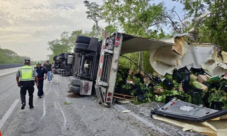 Accidente causó daños al Tren Maya