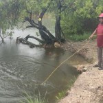 Nueva amenaza ambiental pone en alerta a la sabana de Chetumal