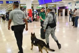 Intentó salir de Cancún con casi 2.5 kilos de cocaína y pasará ocho años en prisión