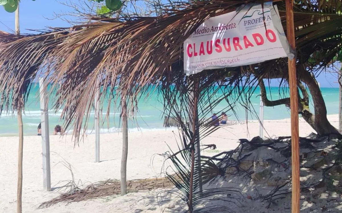 Clausuran palapas instaladas sin autorización en playa de Chuburná Puerto