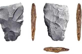 Hallan punta Clovis de más de 12 mil años cerca de la Laguna de Bacalar