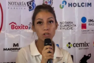 Gatos Cancún