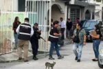 Hallan cinco sereques muertos y colgados en Cancún; aseguran a un hombre
