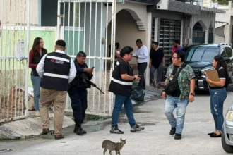 Hallan cinco sereques muertos y colgados en Cancún; aseguran a un hombre
